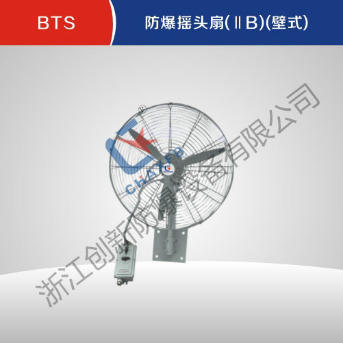 BTS英超联赛买球APP(中国)有限公司摇头扇(IIB)(壁式)