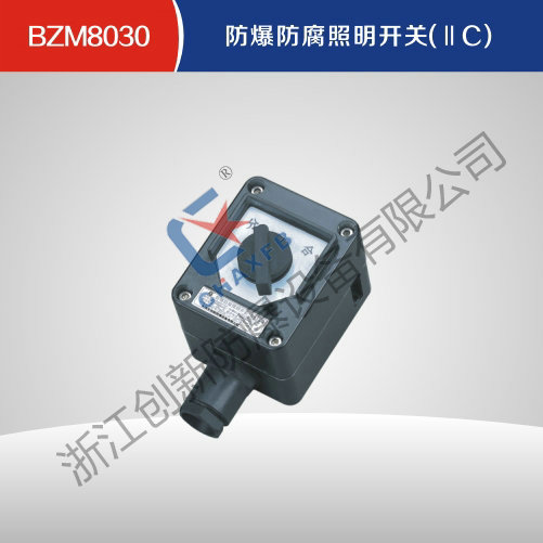 BZM8030英超联赛买球APP(中国)有限公司防腐照明开关(IIC)